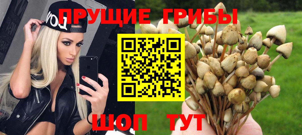 Галлюциногенные грибы GOLDEN TEACHER Сердобск